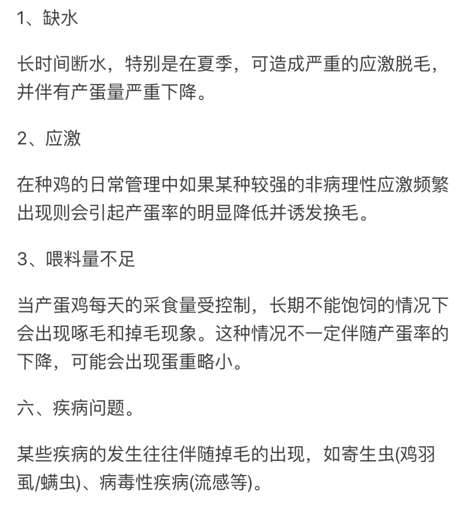 笼养鸡总是掉毛的几种问题