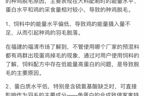 笼养鸡总是掉毛的几种问题