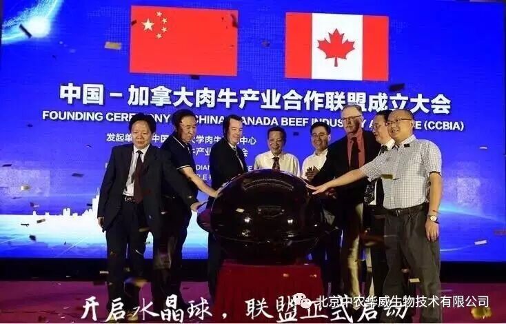 中国—加拿大肉牛产业合作联盟大会在北京胜利闭幕    北京中农华威生物技术有限公司当选为常务理事单位